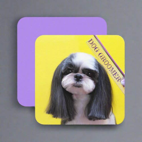 Cute Pets Grooming Care Services Puppy Dogs  Square Business Card