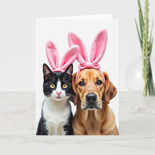 Cute Pets Headbands Photo Card (Front)