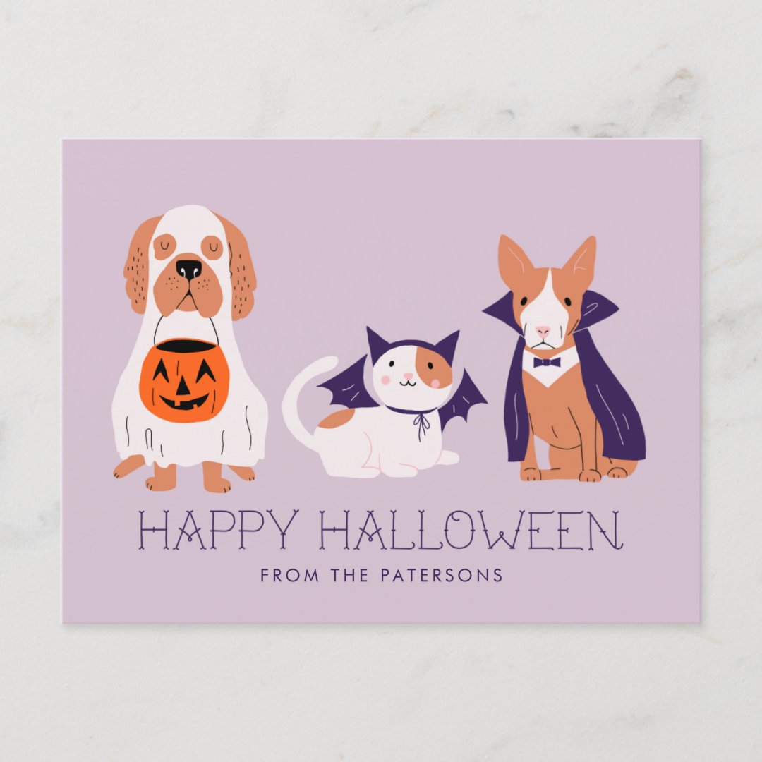 Cute Pets in Costume Happy Halloween Holiday Postcard | Zazzle