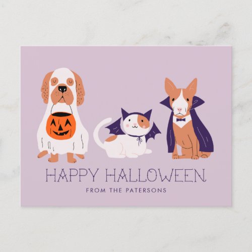 Cute Pets in Costume Happy Halloween Holiday Postcard