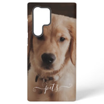 Cute pets photo for remember