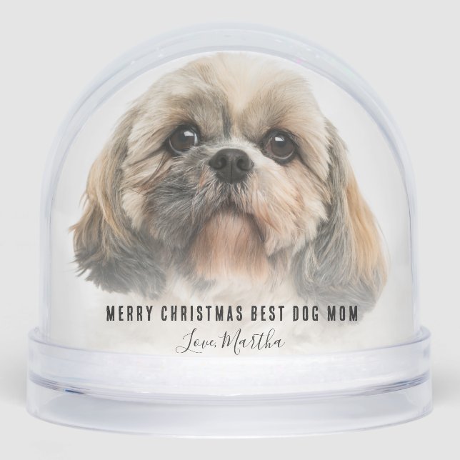 Cute Pets Photos Merry Christmas Snow Globe (Front)