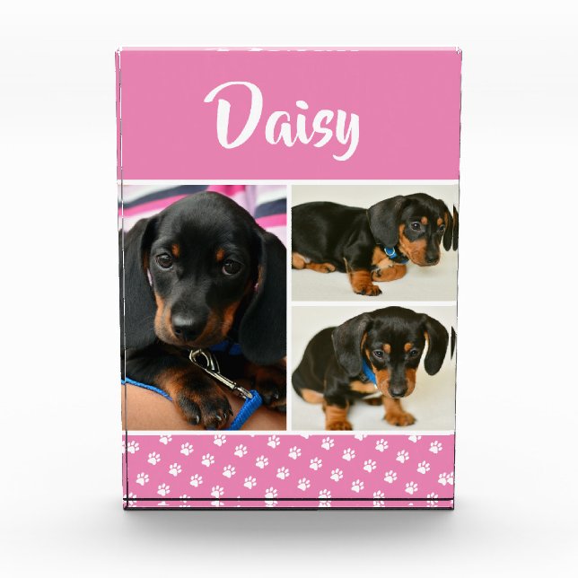 Cute Photo Collage Pet Dog Name Block (Front)