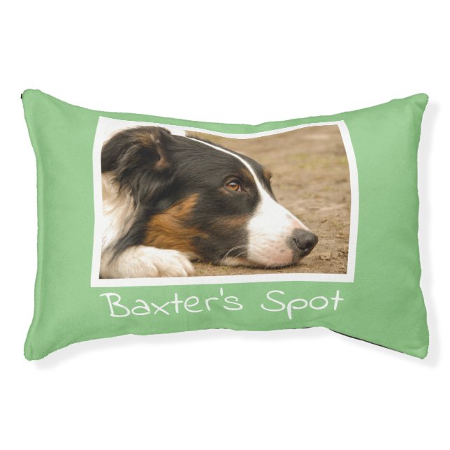 Cute Photo Name Green Pet Dog Bed (Front)
