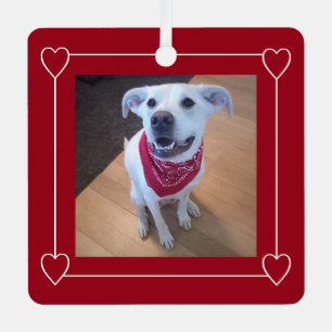 Cute Photo of Dog Smiling Red and White Christmas Metal Ornament