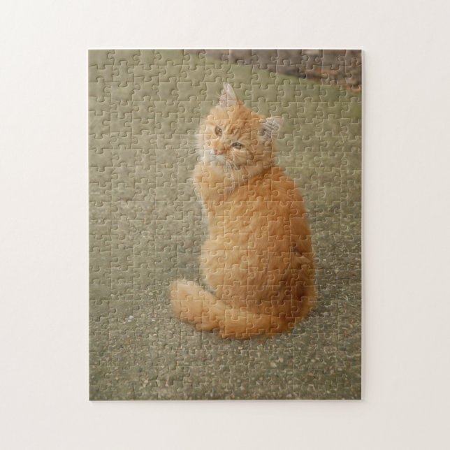 Cute Photo of Orange Kitten Jigsaw Puzzle (Vertical)