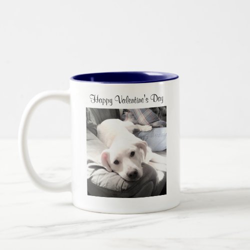 Cute Photo of White Dog Sitting With Dad Blue Two_Tone Coffee Mug