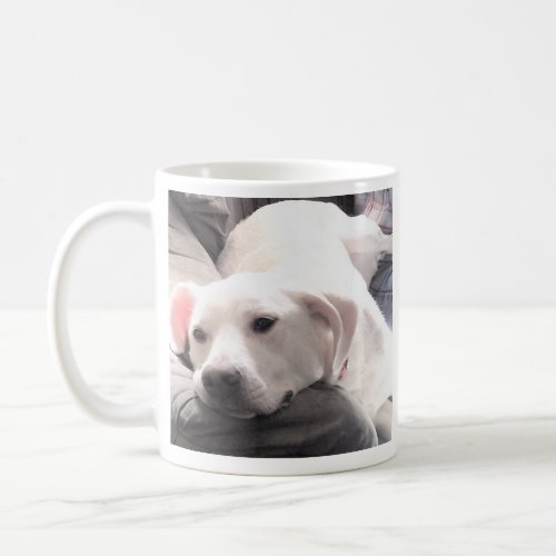 Cute Photo of White Puppy Dog Get Well Soon Coffee Mug