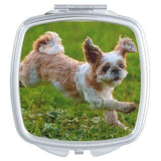 Cute Photo Running Shih Tzu Dog Compact Mirror