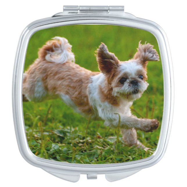 Cute Photo Running Shih Tzu Dog Compact Mirror (Front)