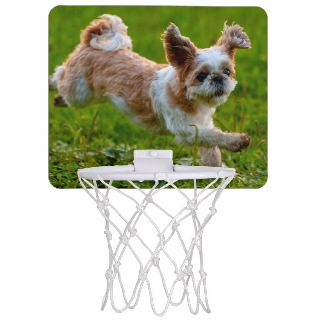 Cute Photo Running Shih Tzu Dog Mini Basketball Hoop (Front)