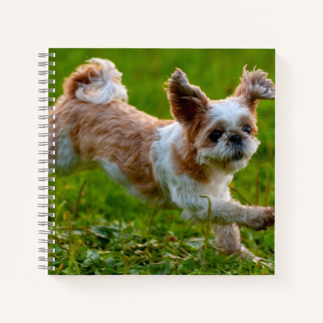Cute Photo Running Shih Tzu Dog Notebook (Front)