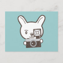 Cute Photographer Rabbit Postcard