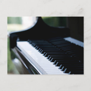 Cute Piano Artwork Postcard