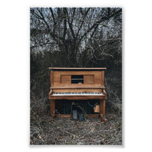 Cute Piano Photo Print