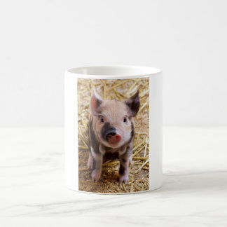 Cute Pic of a baby Pig Coffee Mug