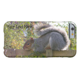 cute picture of gray squirrel sleeping wildlife barely there iPhone 6 case
