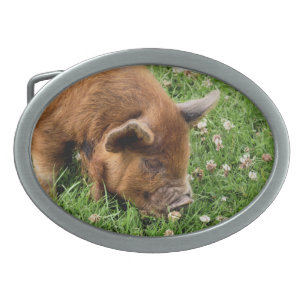 CUTE PIG BELT BUCKLE