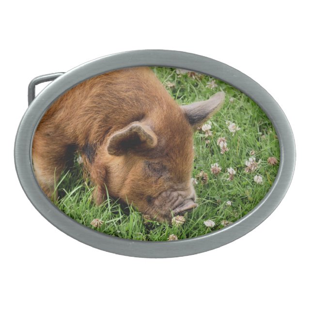 CUTE PIG  BELT BUCKLE (Front)