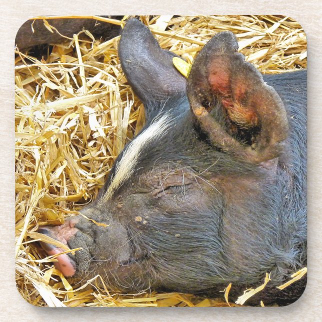 CUTE PIG BEVERAGE COASTER (Front)