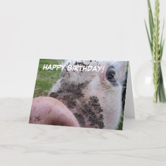 Cute Pig Birthday Card