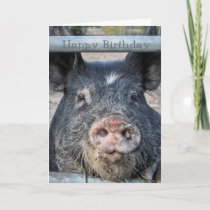 cute Pig Birthday card