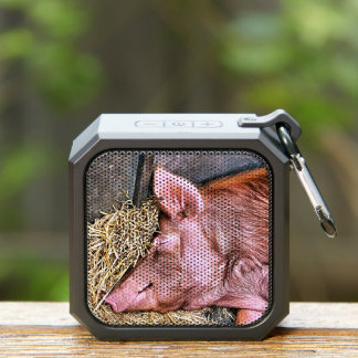 CUTE PIG BLUETOOTH SPEAKER