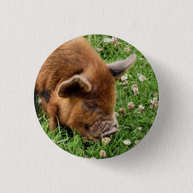 CUTE PIG  BUTTON (Front)