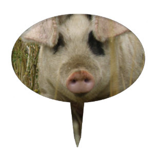 Cute Pig Cake Pick