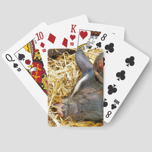 CUTE PIG CANASTA CARDS