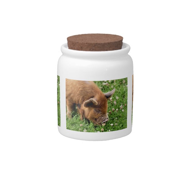 CUTE PIG  CANDY JAR (Front)