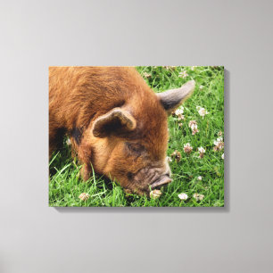 CUTE PIG CANVAS PRINT