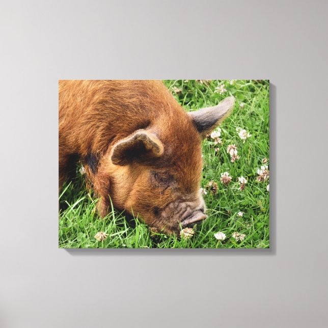 CUTE PIG   CANVAS PRINT (Front)