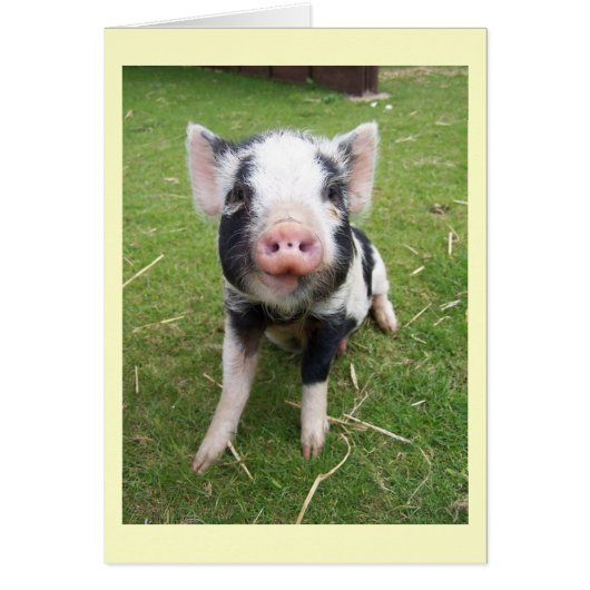 Cute Pig Card (Front)