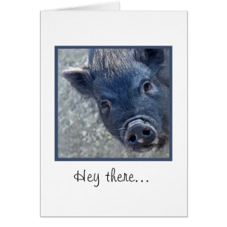 Cute Pig Cards