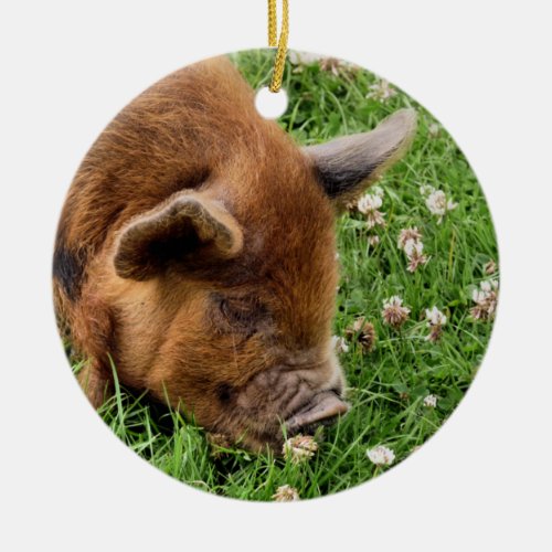 CUTE PIG   CERAMIC ORNAMENT