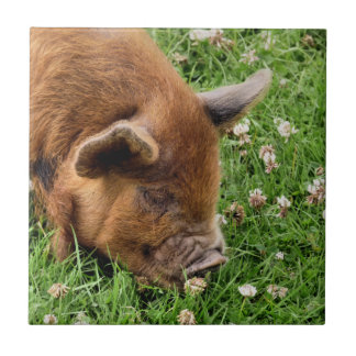 CUTE PIG CERAMIC TILE