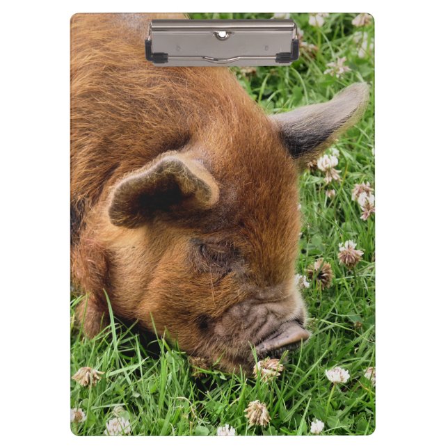 CUTE PIG   CLIPBOARD (Front)