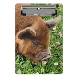 CUTE PIG CLIPBOARD