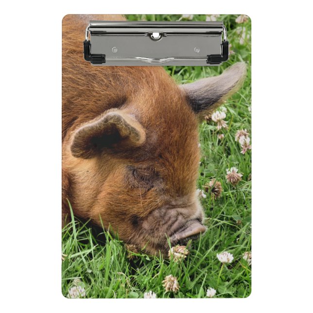 CUTE PIG   CLIPBOARD (Front)