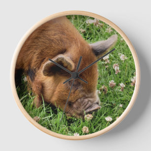 CUTE PIG CLOCK