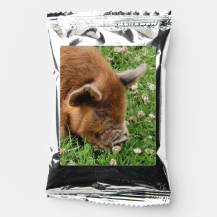 CUTE PIG   COFFEE DRINK MIX