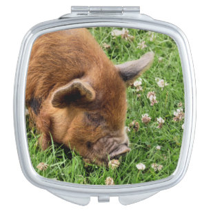 CUTE PIG    COMPACT MIRROR