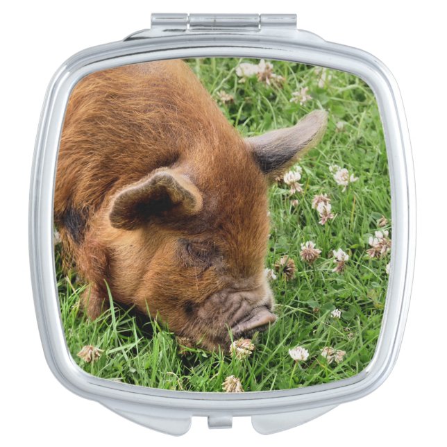 CUTE PIG    COMPACT MIRROR (Front)