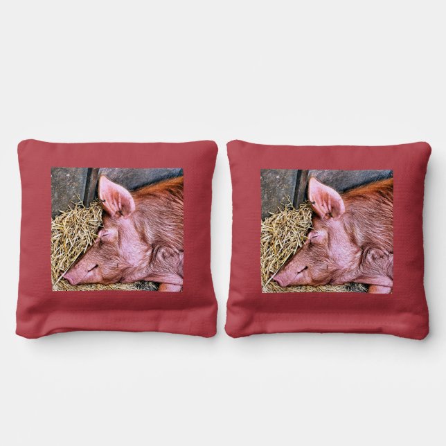 CUTE PIG CORNHOLE BAGS (Bag 1)