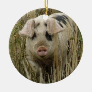Cute Pig Custom Birthday Ceramic Ornament