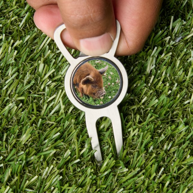 CUTE PIG    DIVOT TOOL (Insitu 1)