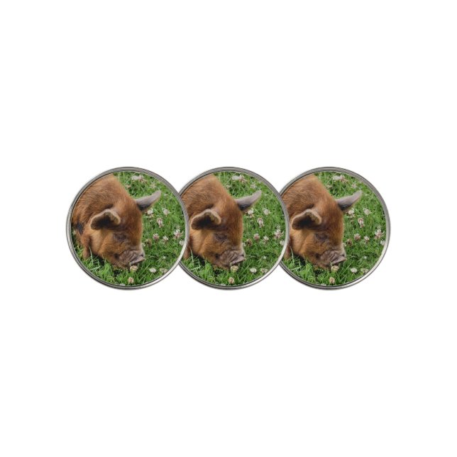 CUTE PIG    GOLF BALL MARKER (3 Up)
