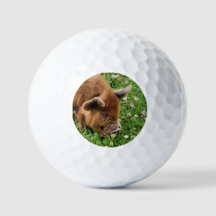 CUTE PIG GOLF BALLS