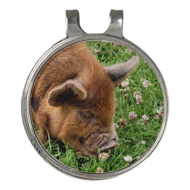 CUTE PIG    GOLF HAT CLIP (Front)